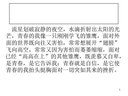 13鲁提辖拳打镇关西PPT课件