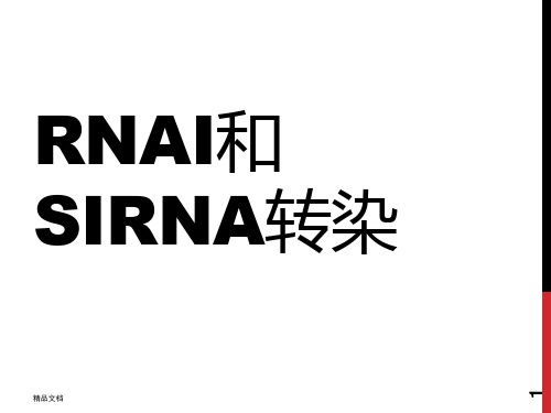 RNAi和siRNA