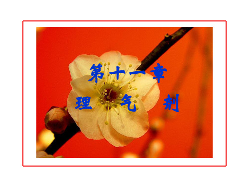 12.理气剂介绍