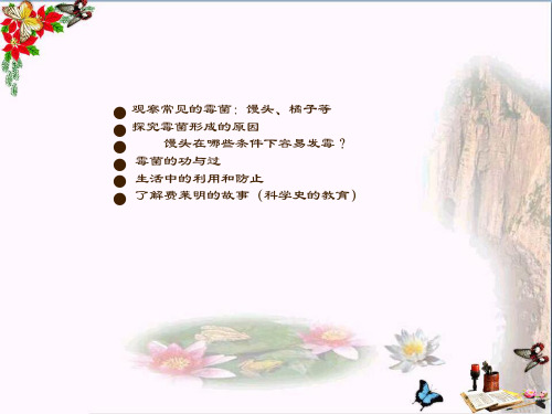 六年级科学上册馒头发霉了PPT课件5