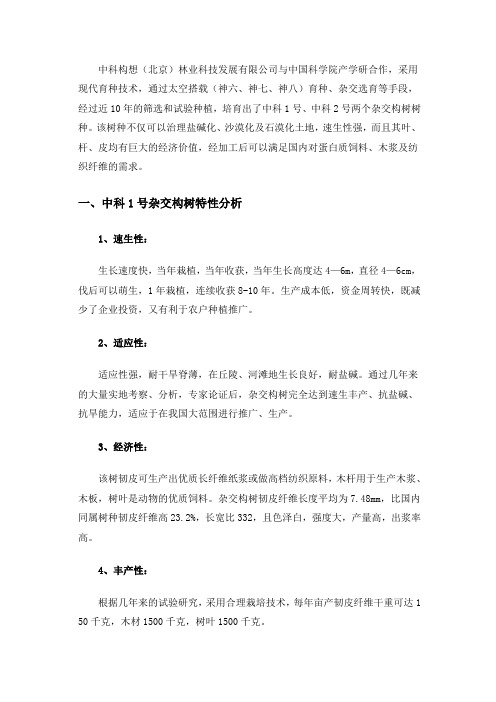 中科一号杂交构树