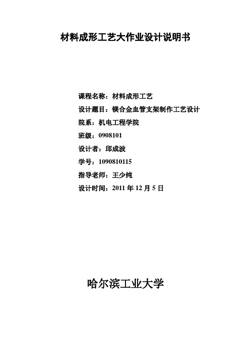 大作业 镁合金血管支架制作工艺