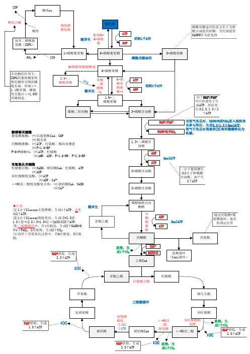 糖代谢图