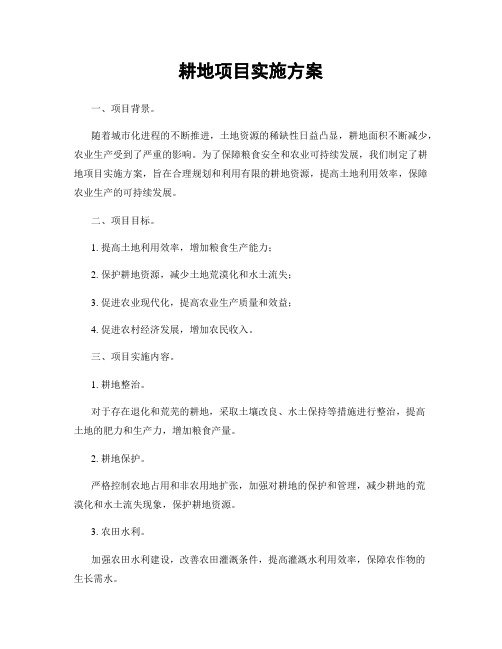 耕地项目实施方案