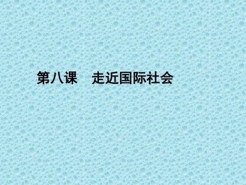第八课  走近国际社会(2017届一轮复习)