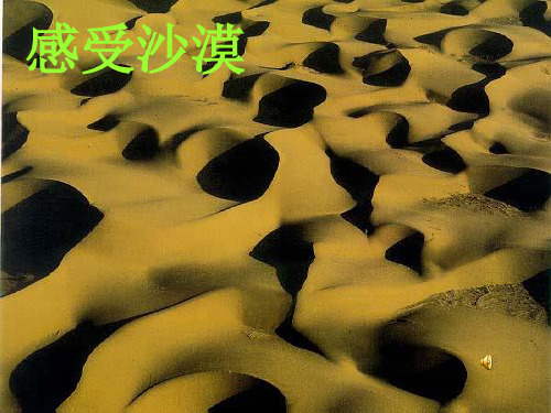 沙漠里的奇怪现象PPT