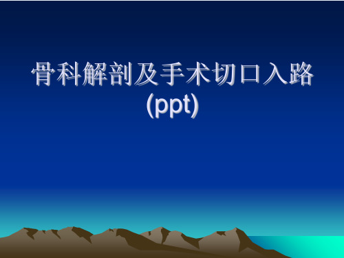 骨科解剖及手术切口入路(ppt)