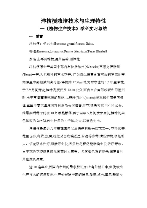 洋桔梗栽培技术与生理特性