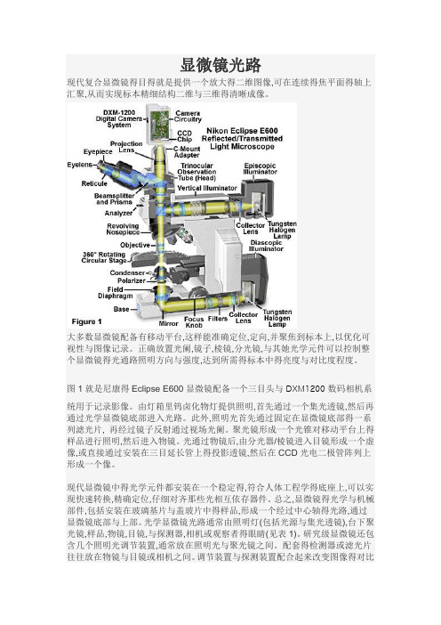 显微镜光路