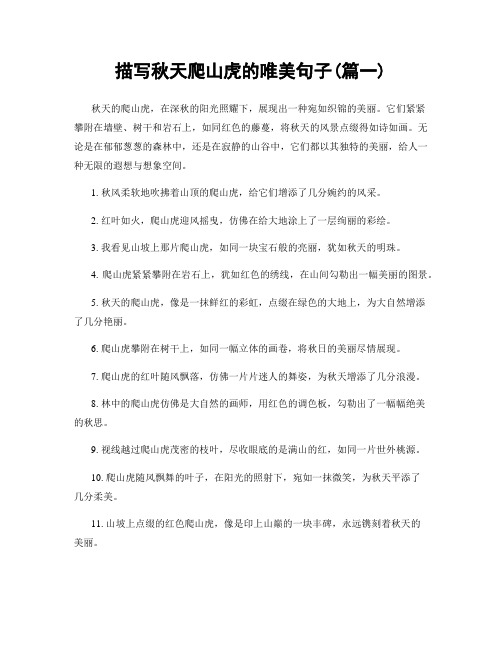 描写秋天爬山虎的唯美句子(精选2篇)