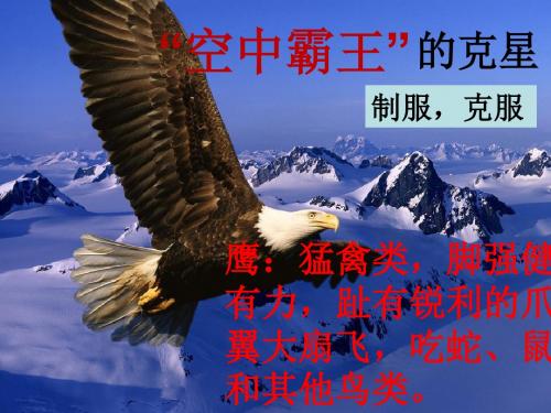 9.“空中霸王”的克星