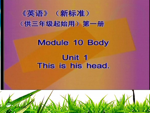 三年级英语上册 module10 unit 1 this is his head课件
