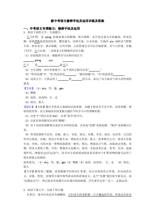 新中考语文修辞手法及运用训练及答案