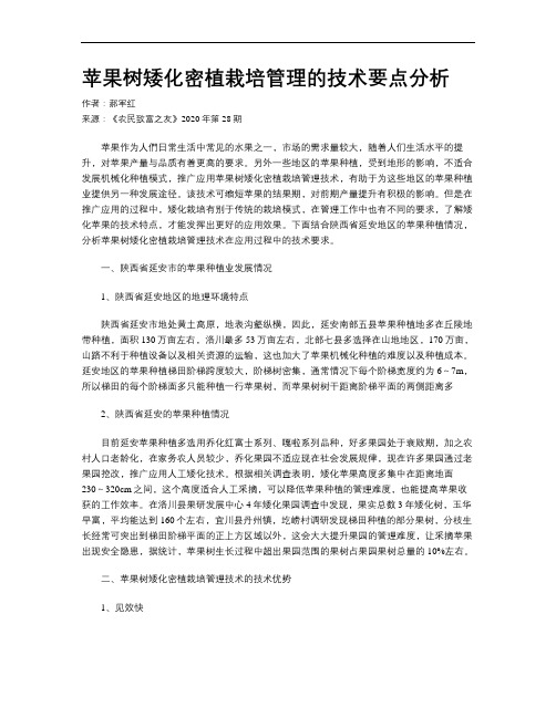 苹果树矮化密植栽培管理的技术要点分析