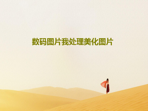 数码图片我处理美化图片PPT共16页