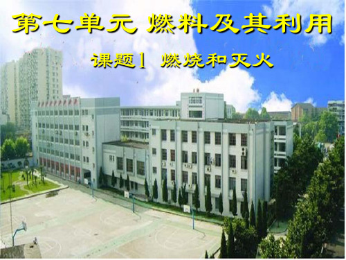 九年级化学课件PPT课件(25)