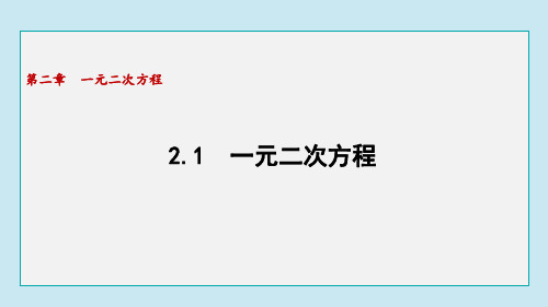 2.1 一元二次方程(课件)2024-2025学年湘教版数学九年级上册