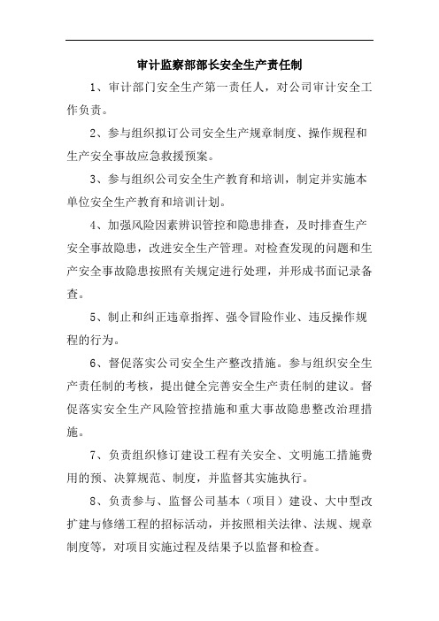 审计监察部部长安全生产责任制