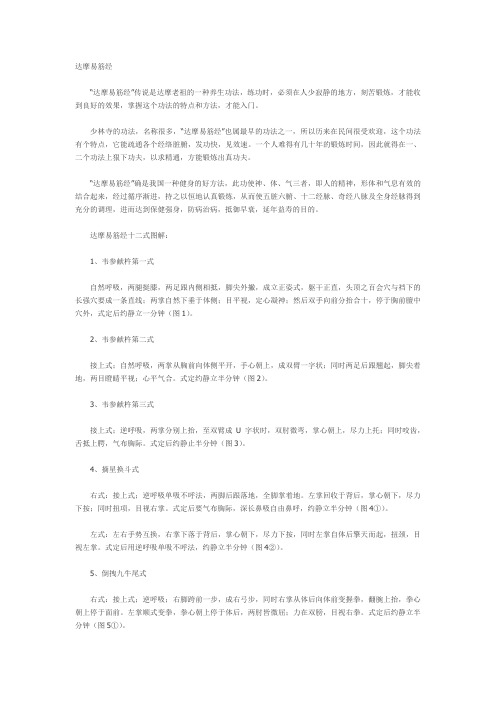 达摩易筋经