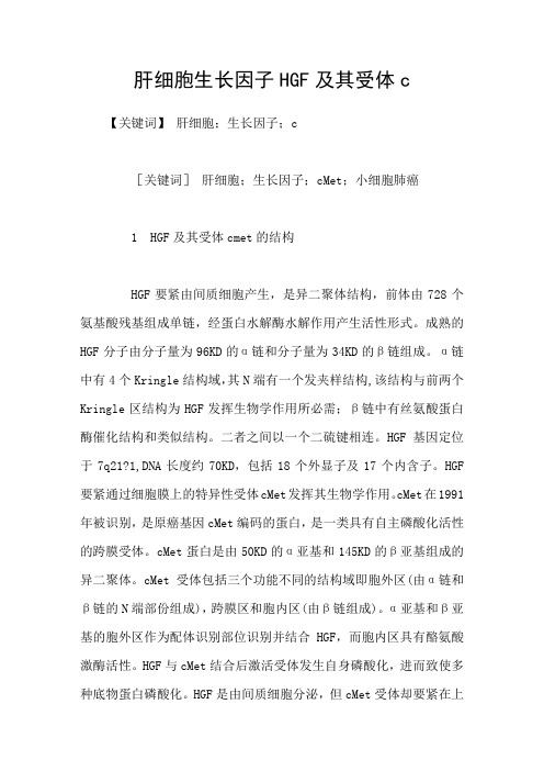 肝细胞生长因子HGF及其受体c