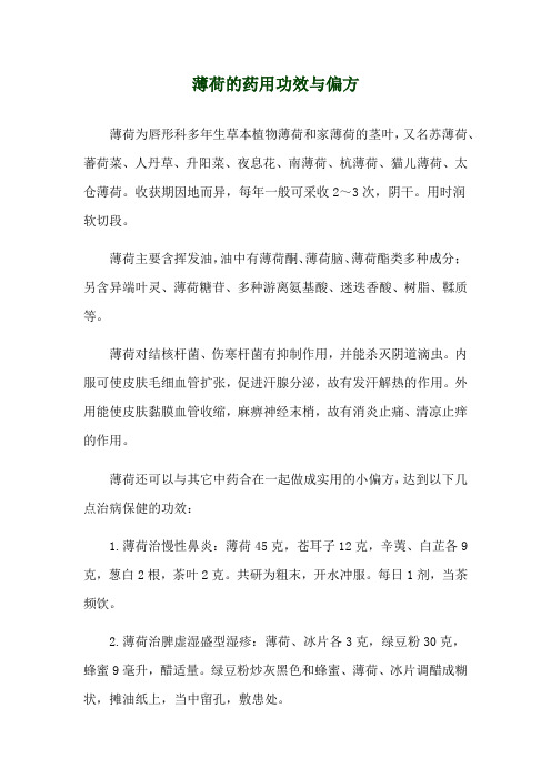 薄荷的药用功效与偏方