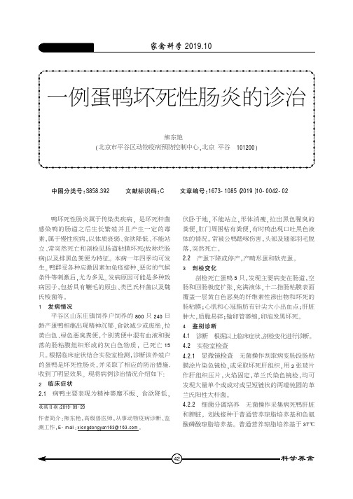 一例蛋鸭坏死性肠炎的诊治