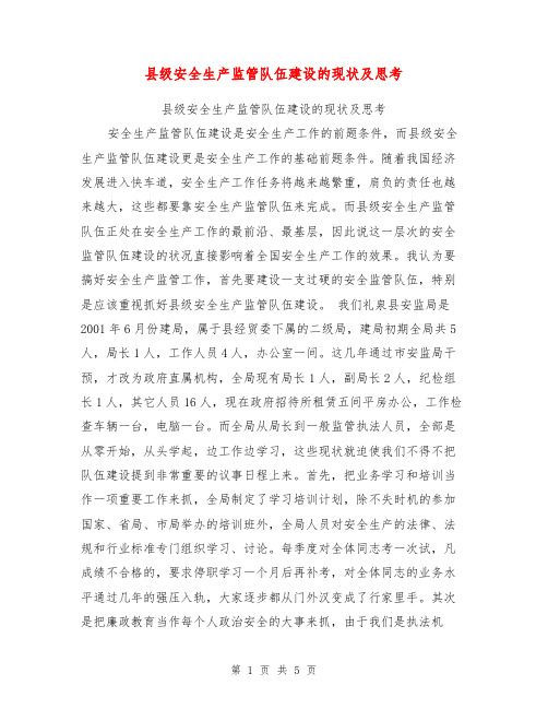 县级安全生产监管队伍建设的现状及思考【可编辑版】