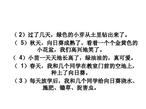 演示文稿2