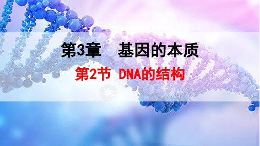 人教版高一生物必修第1册 第2节 DNA的结构