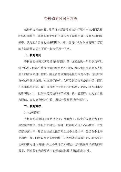 杏树修剪时间与方法