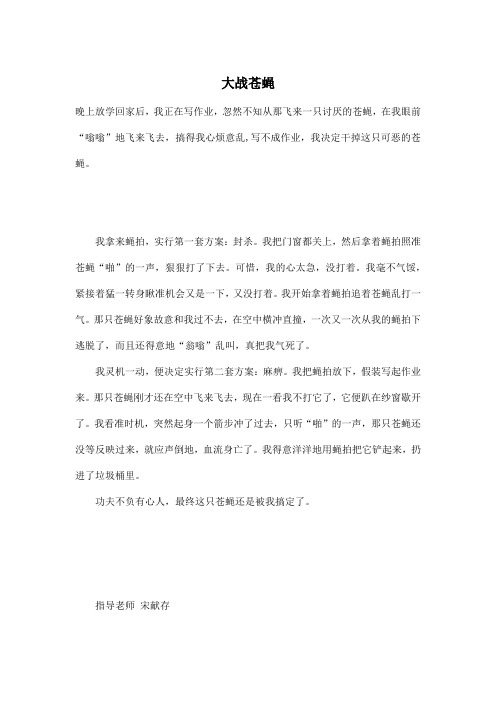 大战苍蝇_小学三年级作文100字