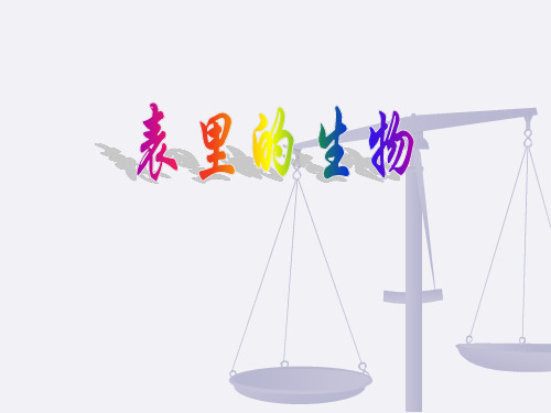 《表里的生物》课件
