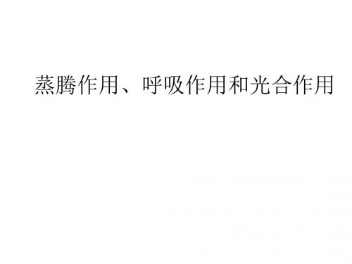 绿色植物的三大生理作用PPT课件1