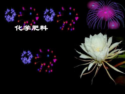 中考化学复习名师PPT课件(107份) 粤教版89