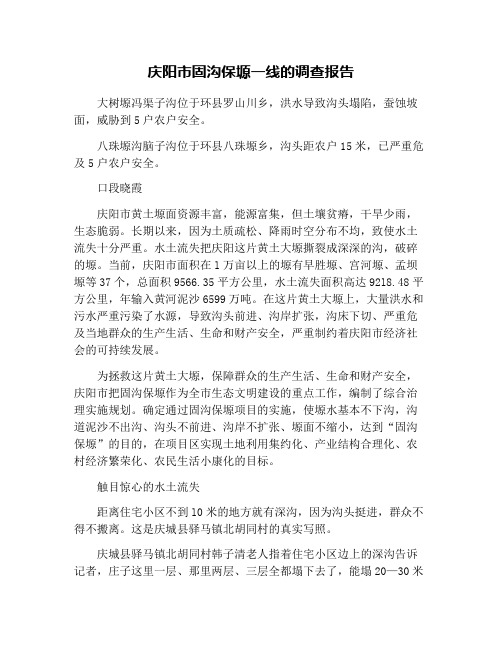 庆阳市固沟保塬一线的调查报告