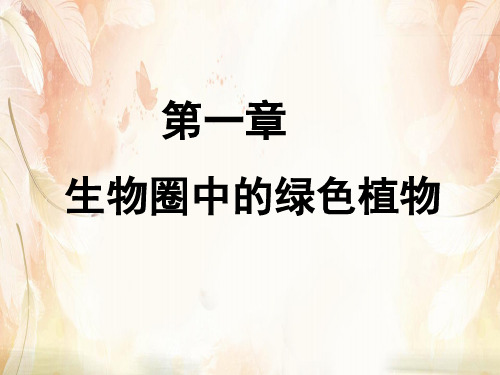 藻类、苔藓和蕨类植物PPT课件19 人教版