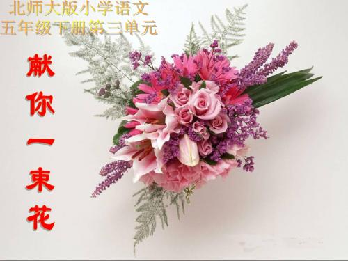 (北师大版)五年级语文课件_献你一束花PPT、优质教学课件