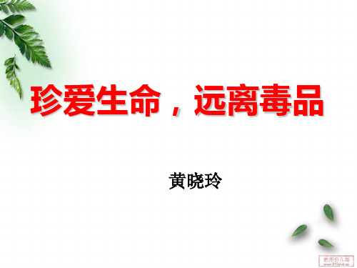 毒品的种类及识别讲解