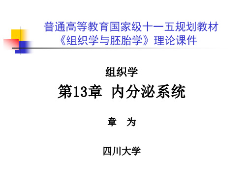 内分泌系统ppt