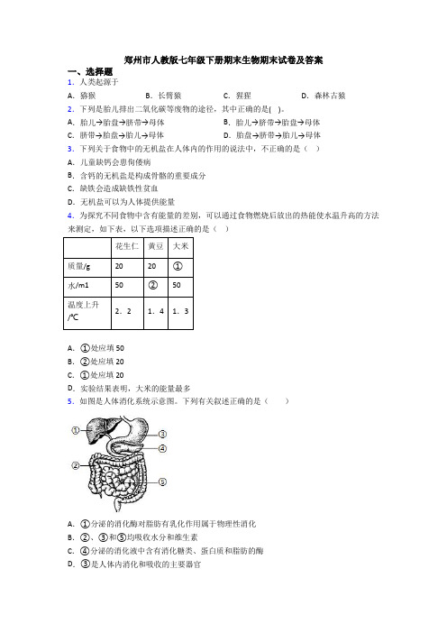 郑州市人教版七年级下册期末生物期末试卷及答案