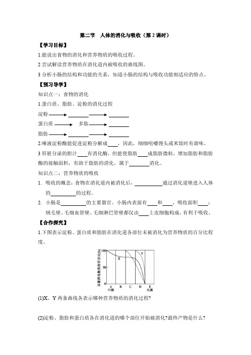 苏教版生物七年级下册 《人体的消化与吸收》第2课时导学案