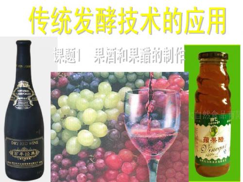人教版选修一 专题1课题1果酒和果醋的制作