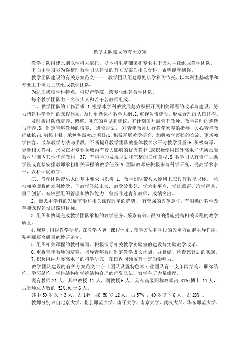 教学团队建设的有关方案