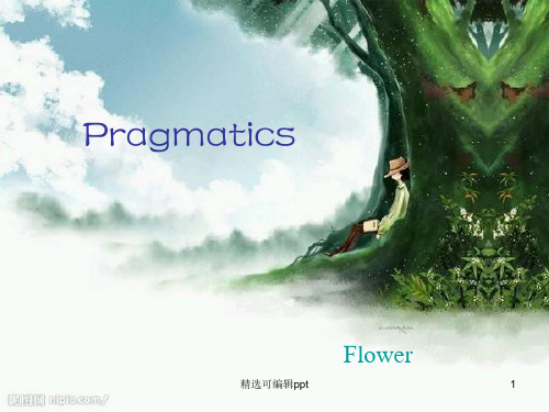 语言学pragmatics的ppt