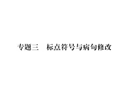 秋人教版九年级语文上册同步作业课件：专题3 标点符号与病句修改(共26张PPT)