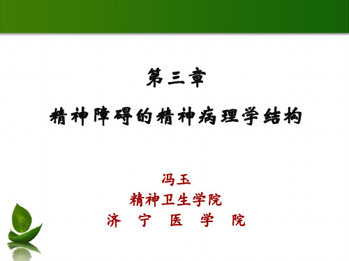 精神病理学分析