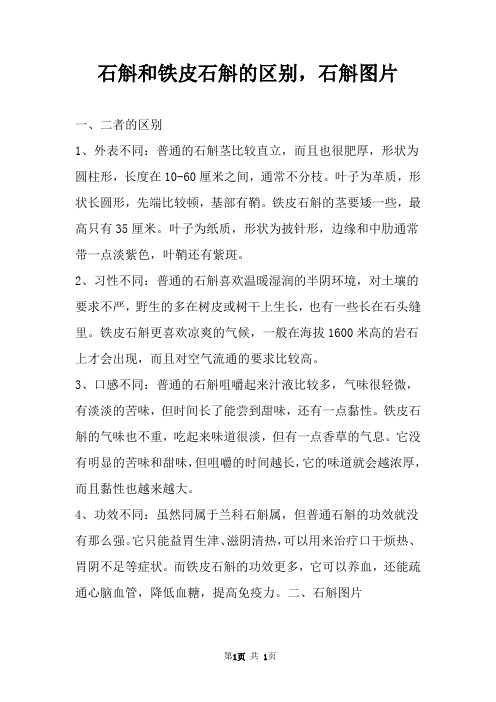 石斛和铁皮石斛的区别,石斛图片 