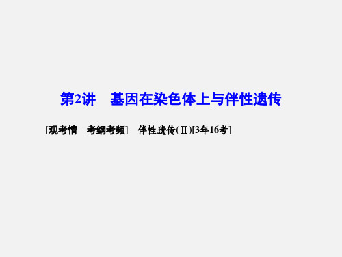 高考生物 一轮复习 2.2基因在染色体上与伴性遗传 新人教版必修2
