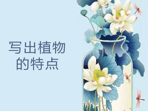 写好植物三年级.ppt