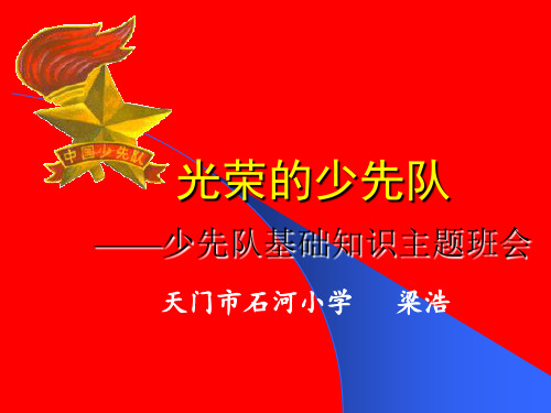 少先队知识讲座主题班会